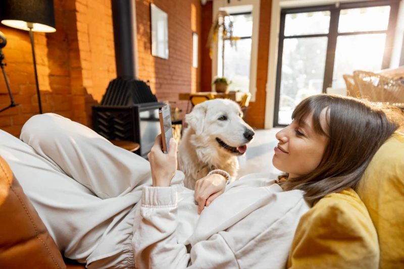 Frau entspannt mit Handy auf Sofa und Hund im modernen, sonnigen Wohnzimmer.